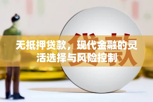 奎文无抵押贷款，现代金融的灵活选择与风险控制