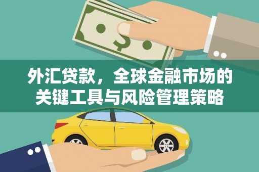 奎文外汇贷款，全球金融市场的关键工具与风险管理策略