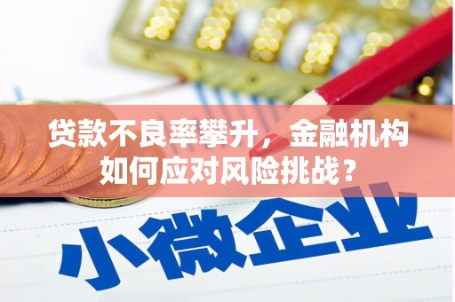 奎文贷款不良率攀升，金融机构如何应对风险挑战？