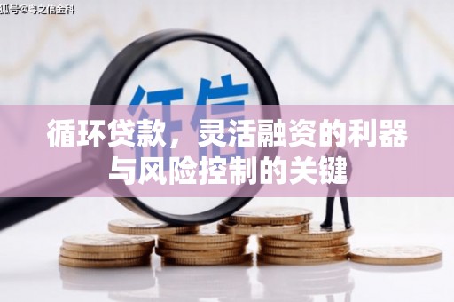 奎文循环贷款，灵活融资的利器与风险控制的关键