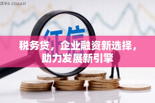 奎文税务贷，企业融资新选择，助力发展新引擎