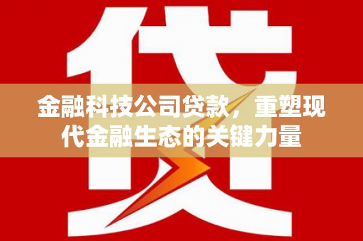 奎文金融科技公司贷款，重塑现代金融生态的关键力量