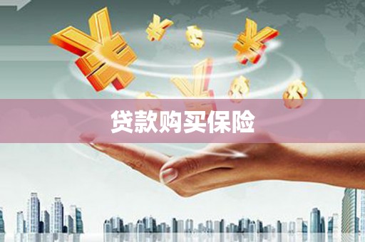 奎文贷款购买保险