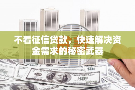 奎文不看征信贷款，快速解决资金需求的秘密武器