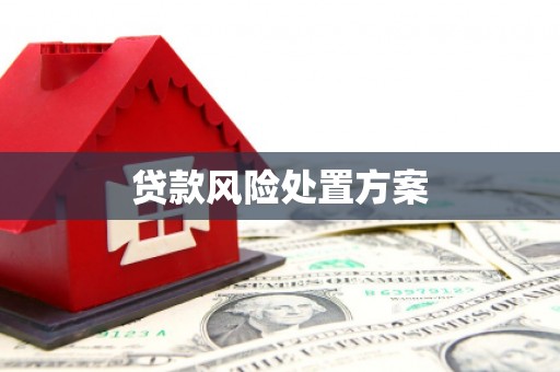 奎文贷款风险处置方案