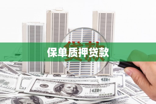 奎文保单质押贷款