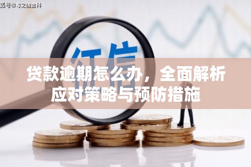 奎文贷款逾期怎么办，全面解析应对策略与预防措施