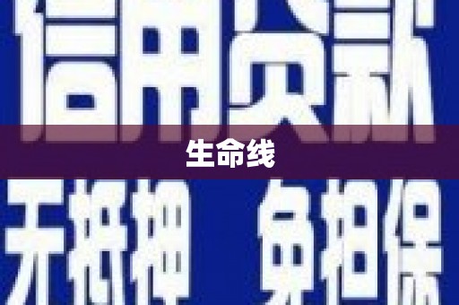 奎文生命线