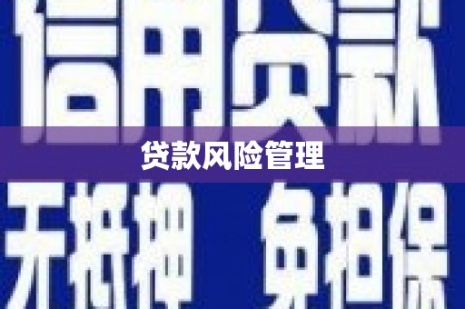 奎文贷款风险管理