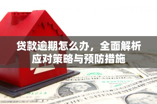 奎文贷款逾期怎么办，全面解析应对策略与预防措施