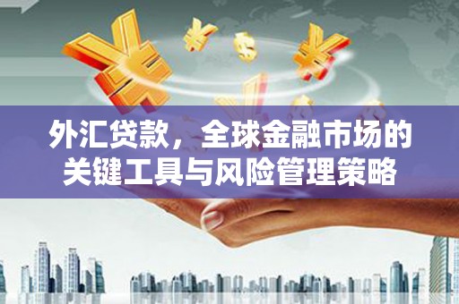 奎文外汇贷款，全球金融市场的关键工具与风险管理策略