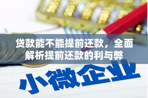 奎文贷款能不能提前还款，全面解析提前还款的利与弊