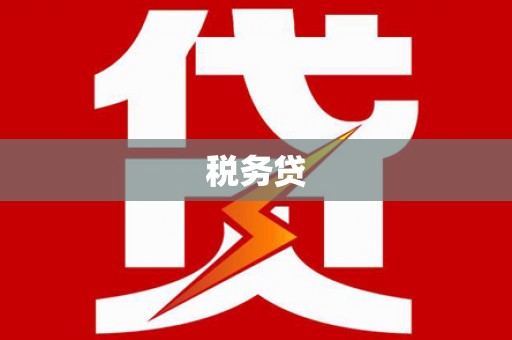 奎文税务贷