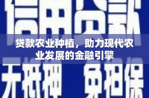奎文贷款农业种植，助力现代农业发展的金融引擎