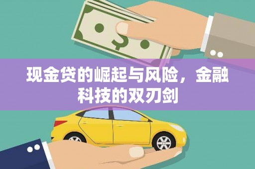 奎文现金贷的崛起与风险，金融科技的双刃剑