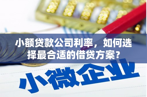 奎文小额贷款公司利率，如何选择最合适的借贷方案？