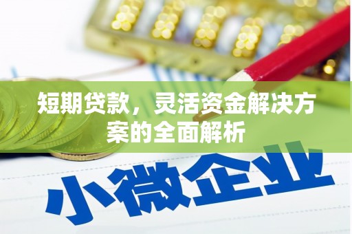 奎文短期贷款，灵活资金解决方案的全面解析