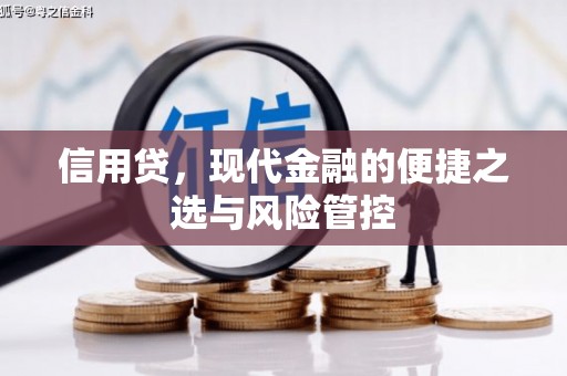 奎文信用贷，现代金融的便捷之选与风险管控