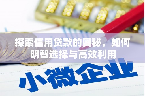 奎文探索信用贷款的奥秘，如何明智选择与高效利用
