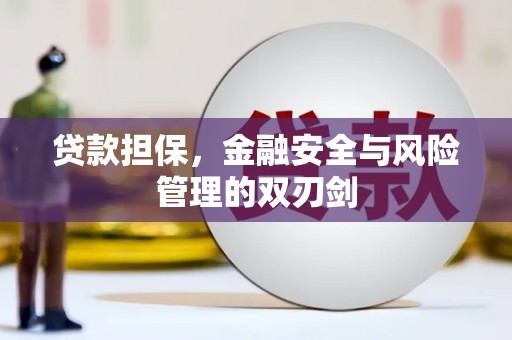 奎文贷款担保，金融安全与风险管理的双刃剑