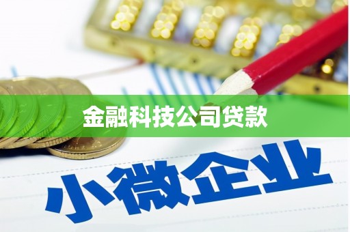 奎文金融科技公司贷款