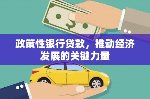 奎文政策性银行贷款，推动经济发展的关键力量
