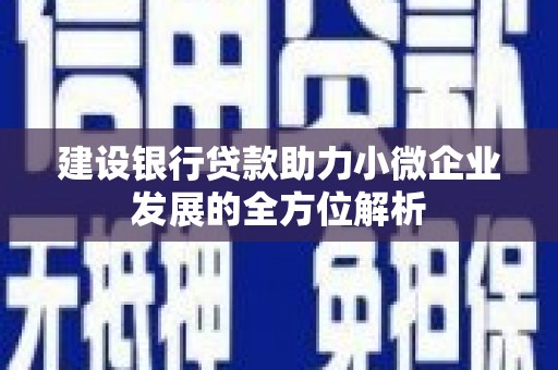 奎文建设银行贷款助力小微企业发展的全方位解析