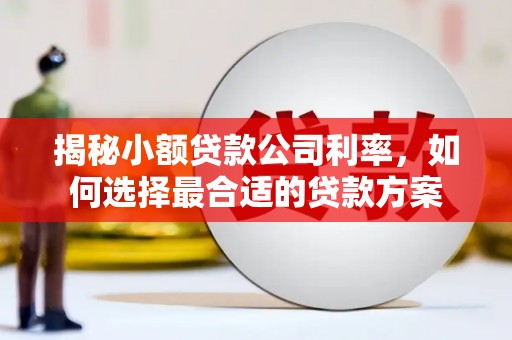 奎文揭秘小额贷款公司利率，如何选择最合适的贷款方案