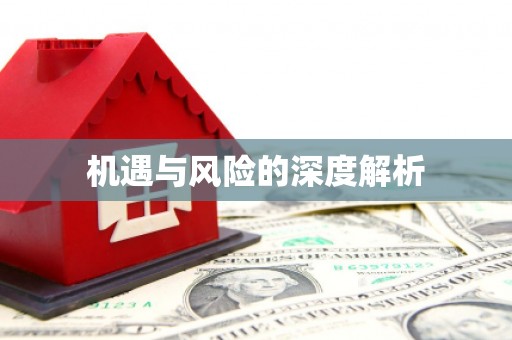 奎文机遇与风险的深度解析