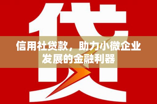奎文信用社贷款，助力小微企业发展的金融利器