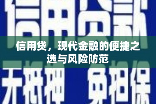 奎文信用贷，现代金融的便捷之选与风险防范