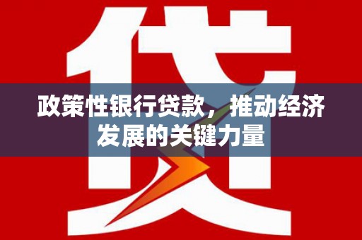 奎文政策性银行贷款，推动经济发展的关键力量