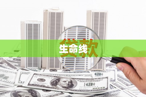 奎文生命线