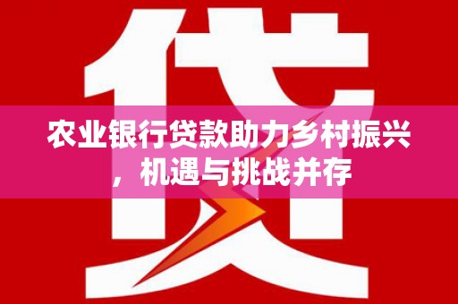 奎文农业银行贷款助力乡村振兴，机遇与挑战并存