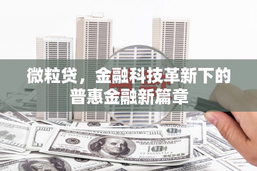 奎文微粒贷，金融科技革新下的普惠金融新篇章