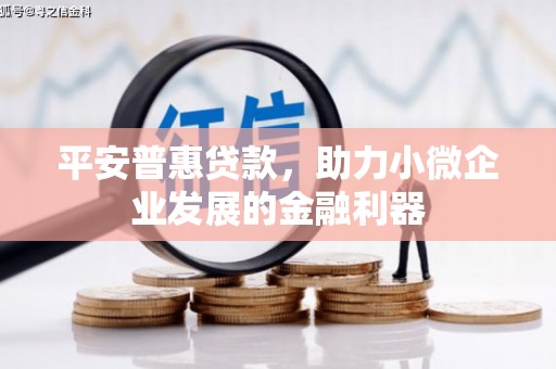 奎文平安普惠贷款，助力小微企业发展的金融利器