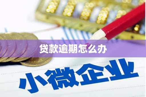 奎文贷款逾期怎么办