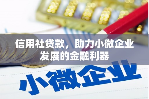 奎文信用社贷款，助力小微企业发展的金融利器