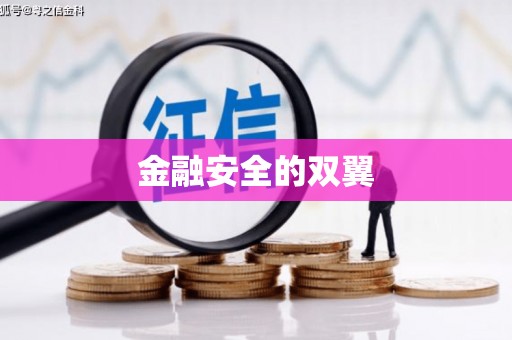 奎文金融安全的双翼