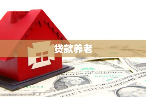 奎文贷款养老