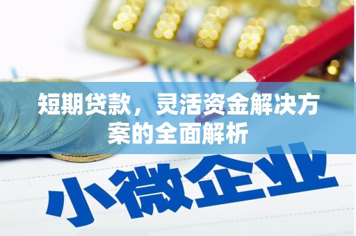 奎文短期贷款，灵活资金解决方案的全面解析