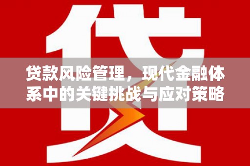 奎文贷款风险管理，现代金融体系中的关键挑战与应对策略