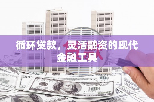 奎文循环贷款，灵活融资的现代金融工具