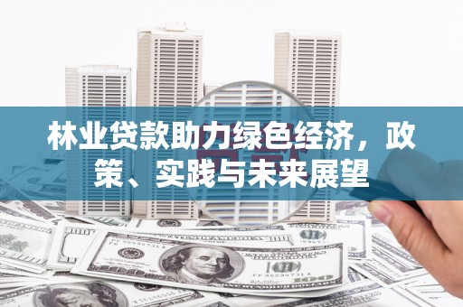 奎文林业贷款助力绿色经济，政策、实践与未来展望
