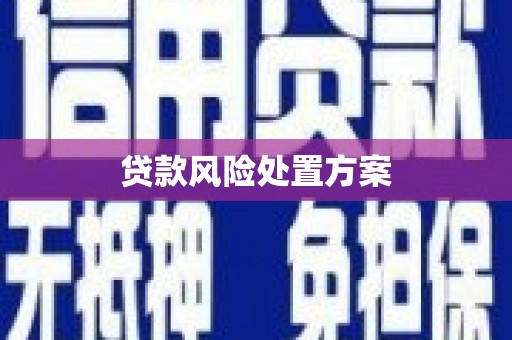 奎文贷款风险处置方案