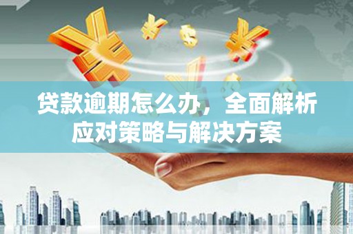 奎文贷款逾期怎么办，全面解析应对策略与解决方案