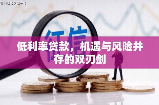 奎文低利率贷款，机遇与风险并存的双刃剑