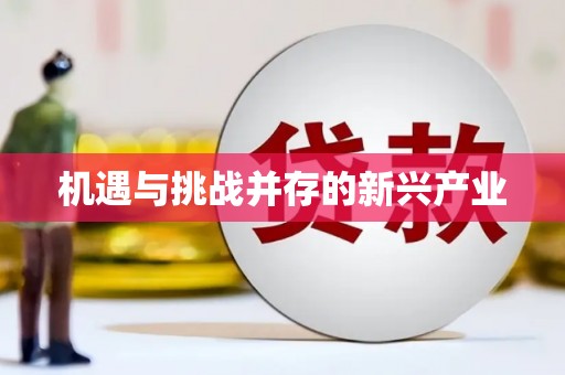 奎文机遇与挑战并存的新兴产业