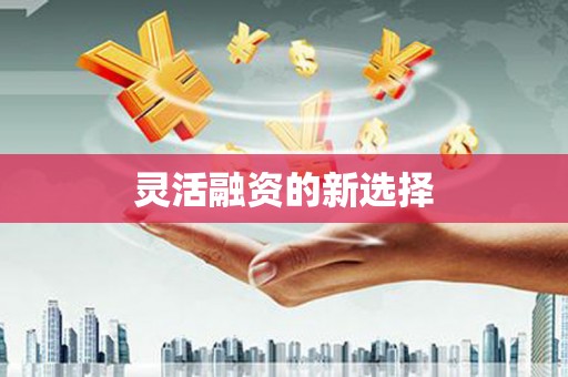 奎文灵活融资的新选择
