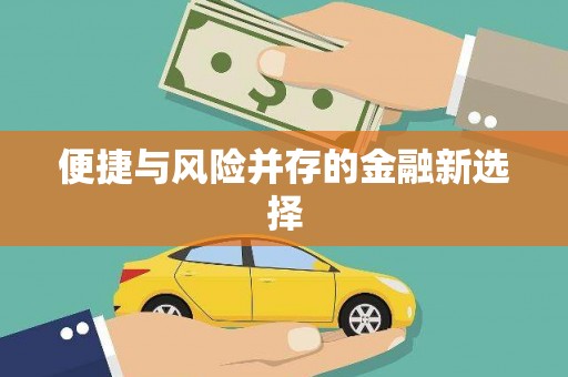 奎文便捷与风险并存的金融新选择